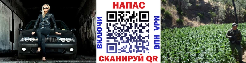 Шишки марихуана SATIVA & INDICA  omg ONION  Красногорск 